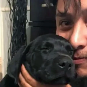Veteran suffering severe PTSD surprised with service dog 🐶❤️